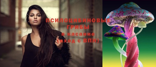 гидра Баксан