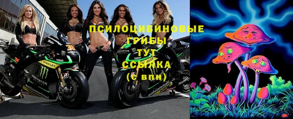 гидра Баксан