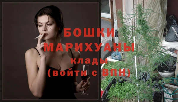PSILOCYBIN Балабаново