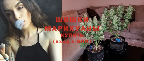 PSILOCYBIN Балабаново