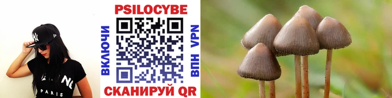 закладка  Отрадное  Псилоцибиновые грибы мухоморы 
